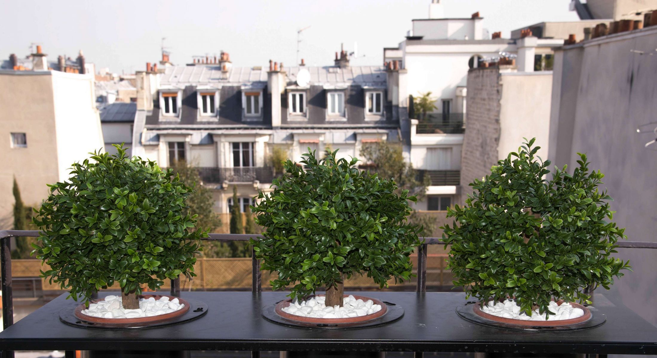 Hotel Le Tilsit Paris - Surrounding