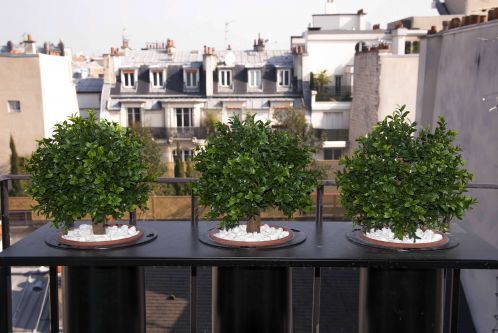 Hotel Le Tilsit Paris - Surrounding